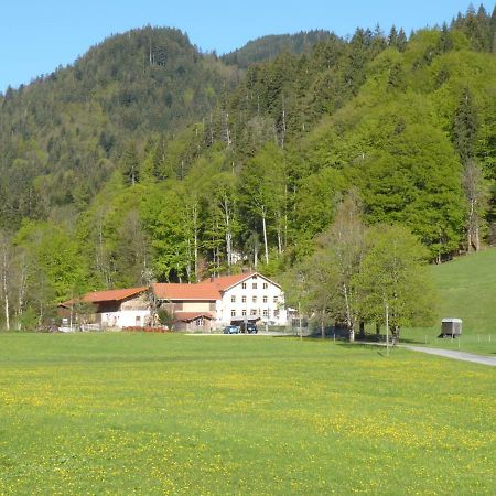 Gasthof Fallmuehle Пфронтен Екстер'єр фото